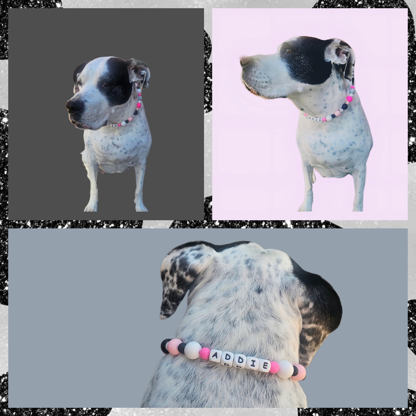 Custom Beaded Dog Collar